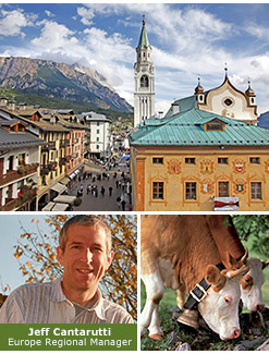 Alps biking and hiking trips